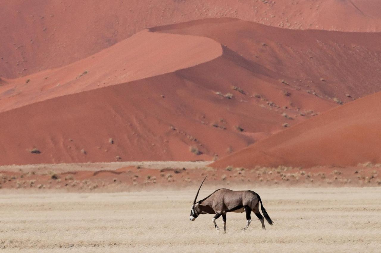 Wilderness Safaris Kulala Desert Lodge Sesriem Exterior foto