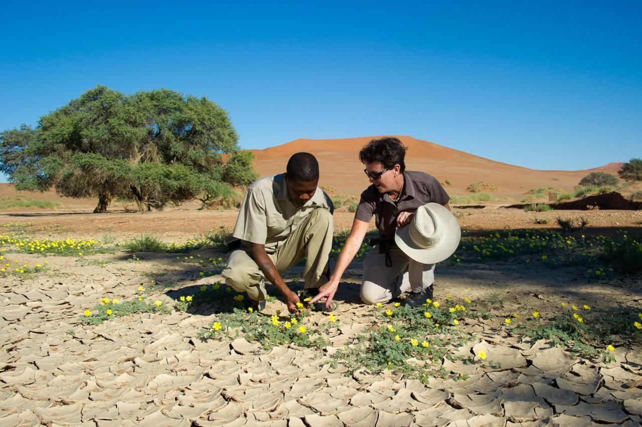 Wilderness Safaris Kulala Desert Lodge Sesriem Exterior foto